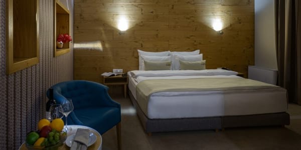 Wellness i spa