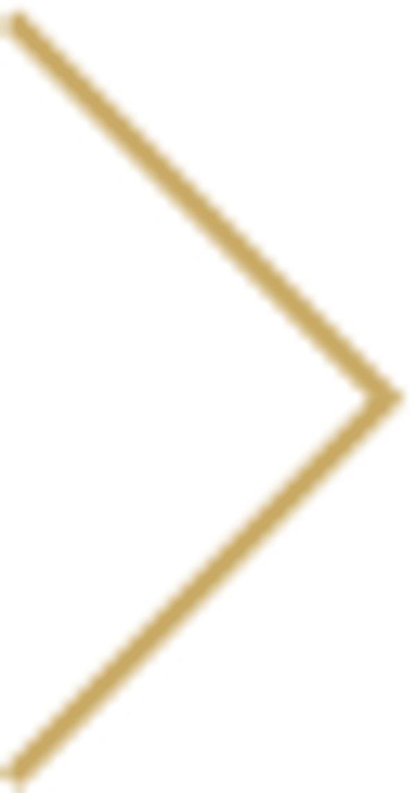 Moravica