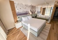 Luksuzna hotelska soba sa King kreveton, ogledalom do poda i planinama na zidu